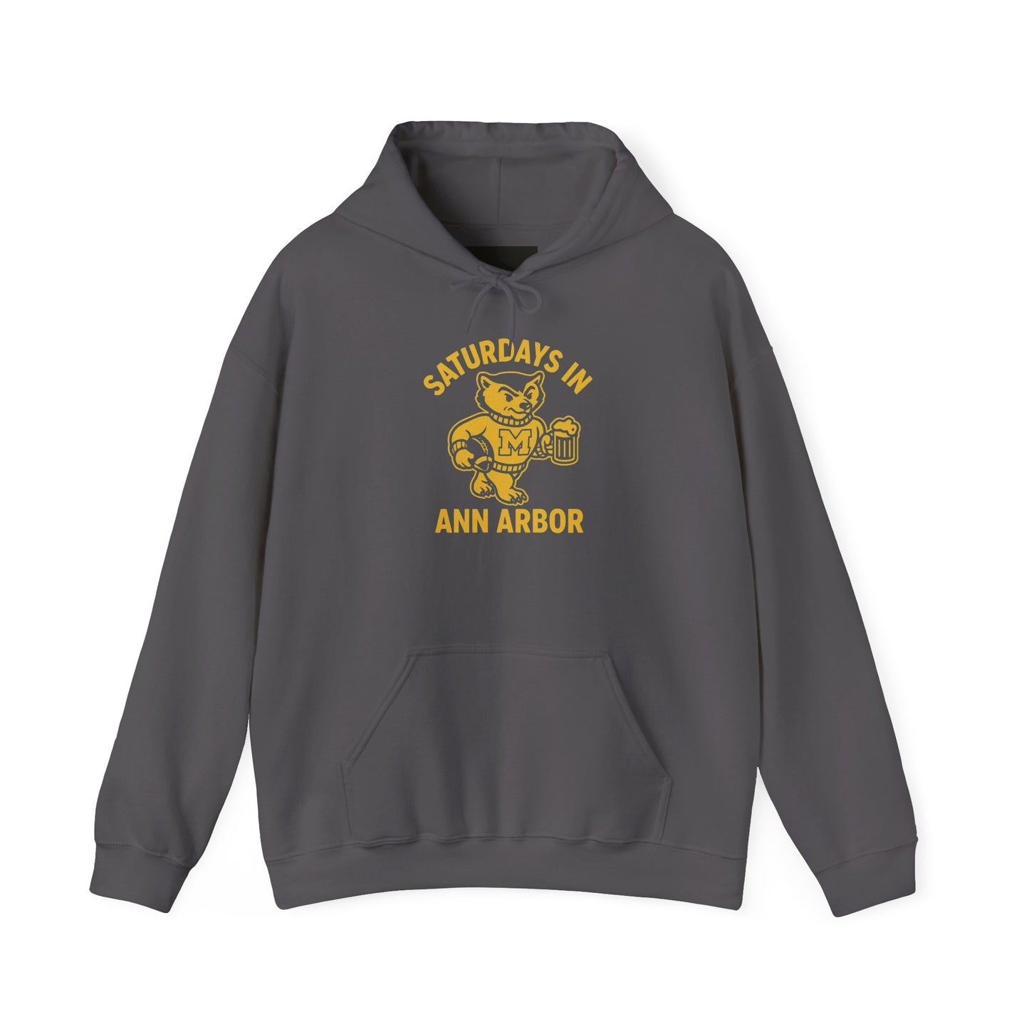 Saturdays in Ann Arbor Hoodie ā Vintage Wolverine Football Pullover